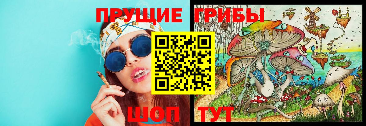 Галлюциногенные грибы мицелий  Вход с VPN  Дедовск 