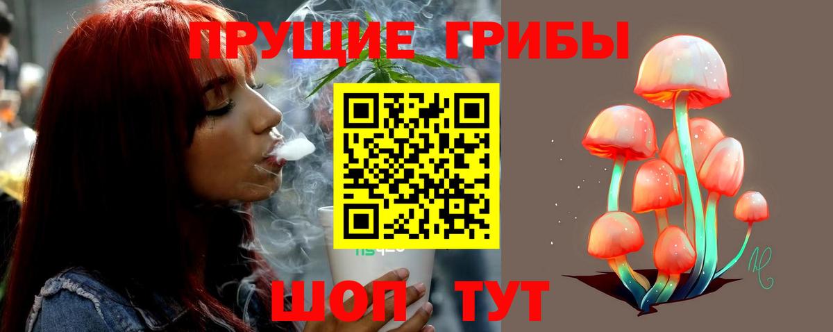 Псилоцибиновые грибы Magic Shrooms Дедовск